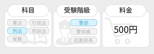 警部への判例攻略　刑法各論